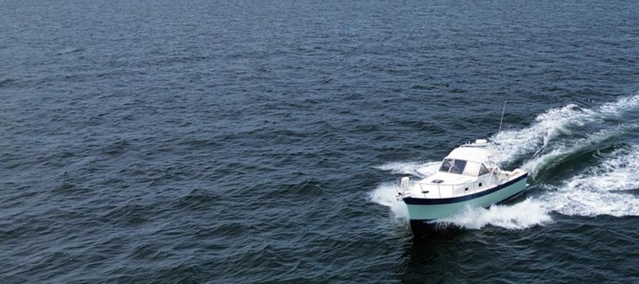 Scup Cover Shot Newport Motorboat Private Charters